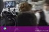 Thumb_cbbc newsround 2005 161